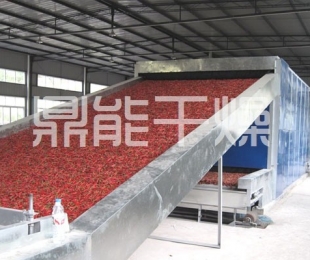 DW系列多層帶式干燥機(jī)